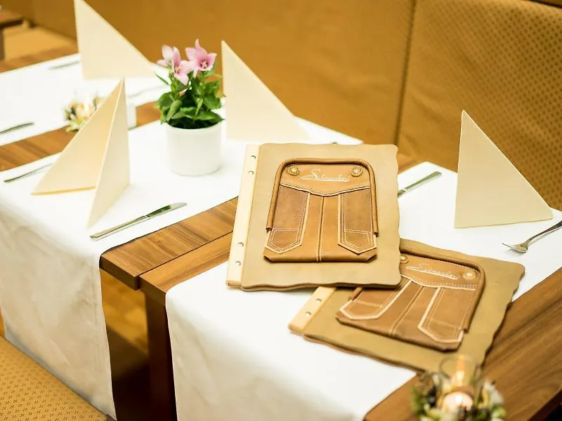 Hotel Enziana Wien 3*, Wenen
