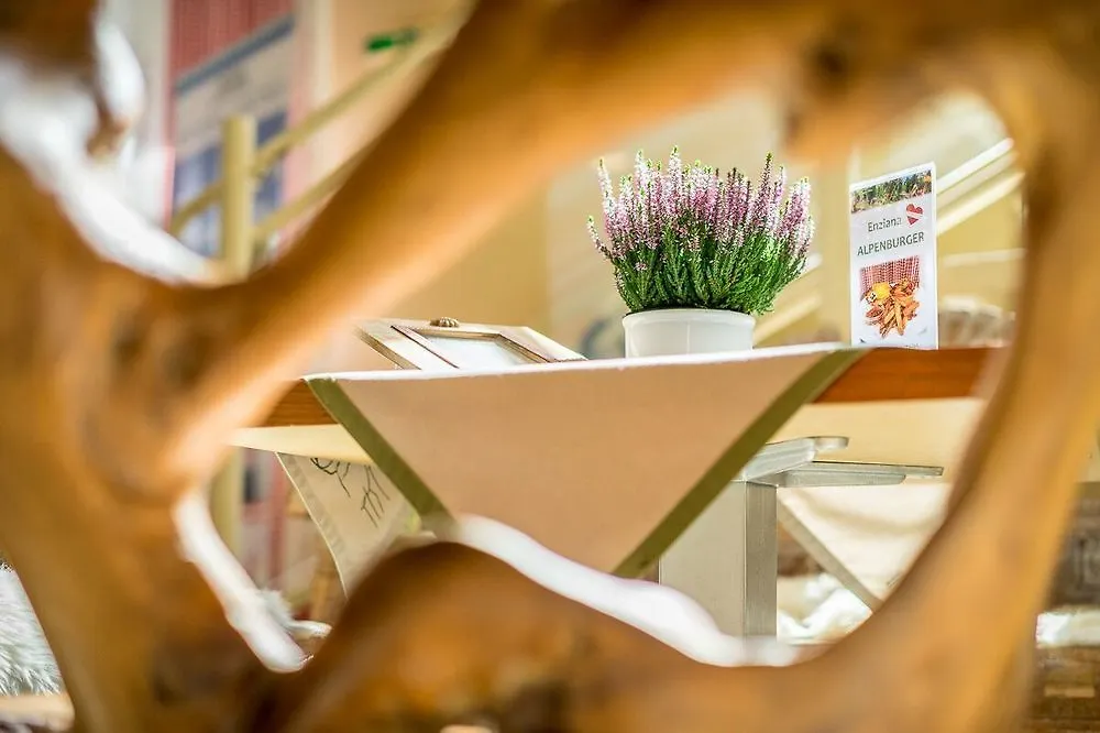 Hotel Enziana Wien Vienne