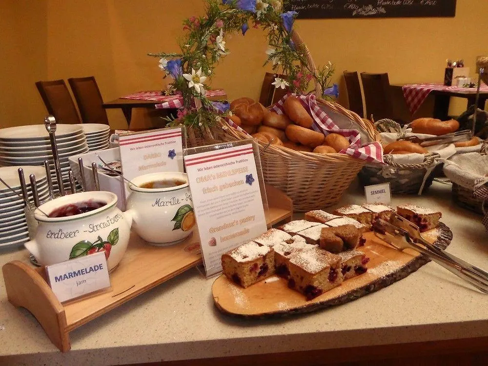 Hotel Enziana Wien וינה