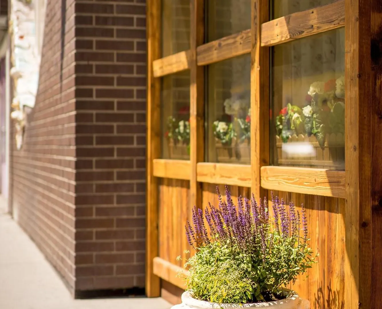 ***  Hotel Enziana Wien Австрия